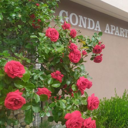 Gonda Apartments Градець-Кралове Екстер'єр фото